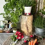 La Maison - Bett & Bike ベッド・アンド・ブレックファスト 3*