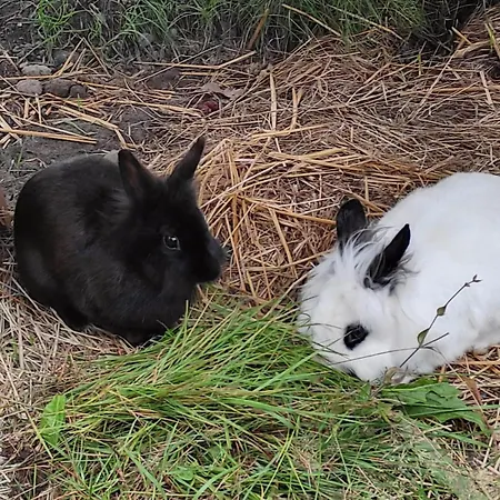 La Maison - Bett & Bike 4* Pritzwalk