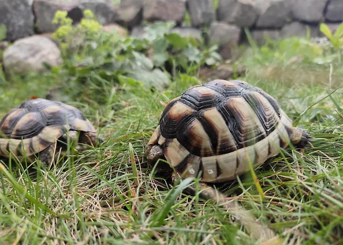 La Maison - Bett & Bike