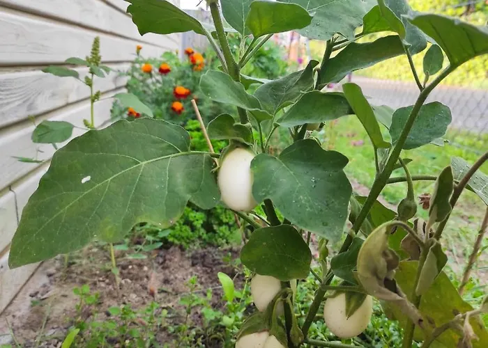 La Maison - Bett & Bike ベッド・アンド・ブレックファスト 4*