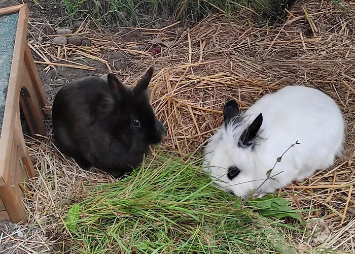 La Maison - Bett & Bike 4* Pritzwalk