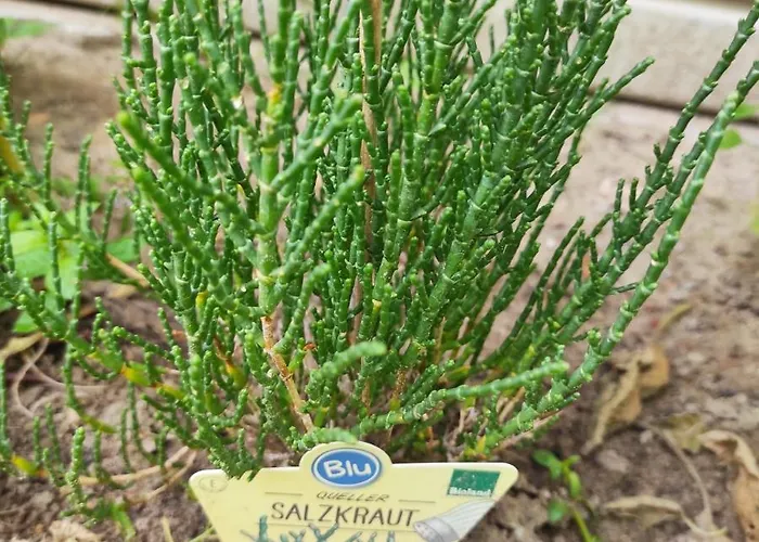 La Maison - Bett & Bike ベッド・アンド・ブレックファスト プリッツヴァルク